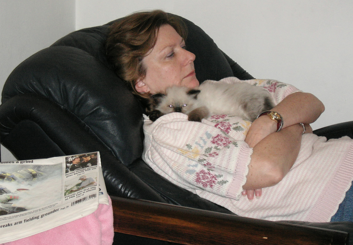w2071 Alien kitten with Margareet.jpg 368.1K